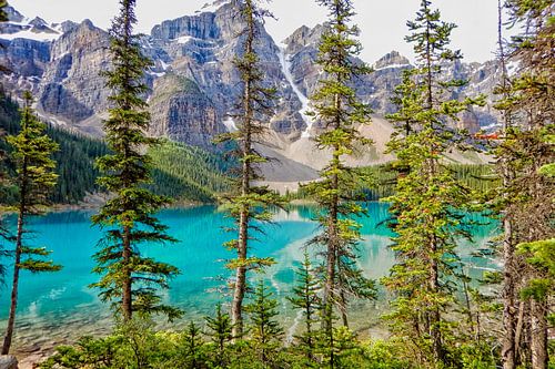 Le magnifique lac Moraine dans les Rocheuses