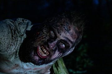 Alptraum: In den Fängen des schrecklichen Zombies von Remco Ditmar