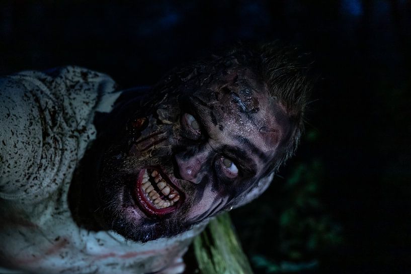 Nightmare: In the grip of the terrifying zombie by Remco Ditmar
