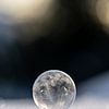 Een bevroren zeepbel van MirjamCornelissen - Fotografie