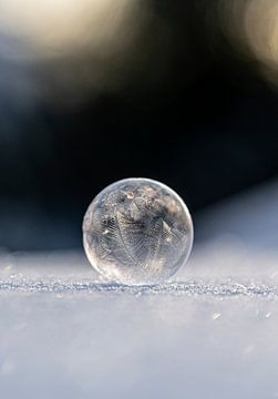 Een bevroren zeepbel van MirjamCornelissen - Fotografie