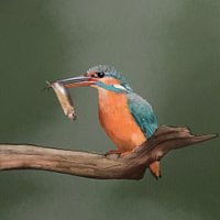 Aquarel ijsvogel met vis in snavel
