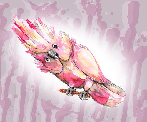 Roze kaketoe aquarel