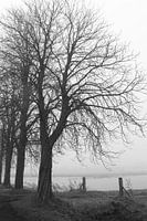 waterweg