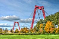 Rotterdam: Willemsbrug en Noordereiland van Frans Blok thumbnail
