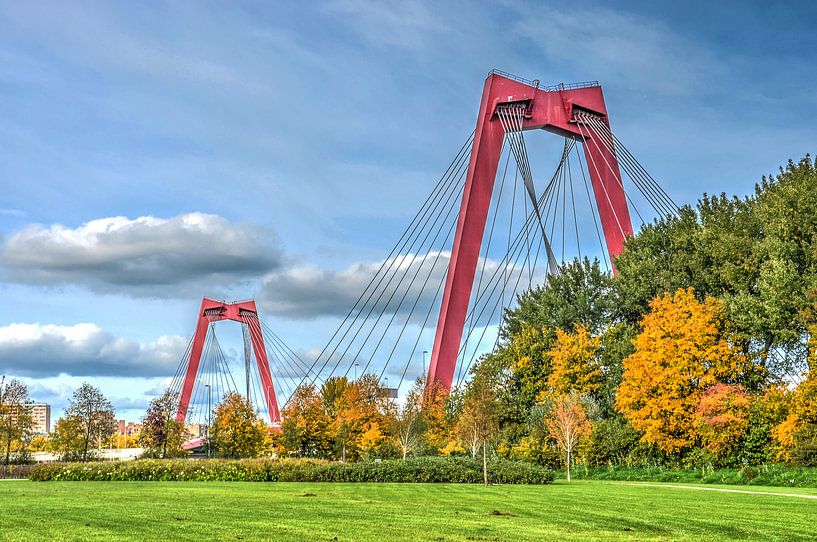 Rotterdam: Willemsbrug en Noordereiland van Frans Blok