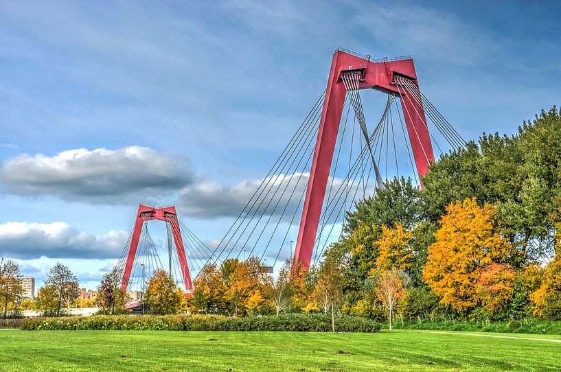 Rotterdam: Willems-Brücke und Nordinsel von Frans Blok - Fotos, Kunst und weitere Wanddekoration