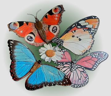 Vlinders fladderen om de een bloem van Andre Wilkens