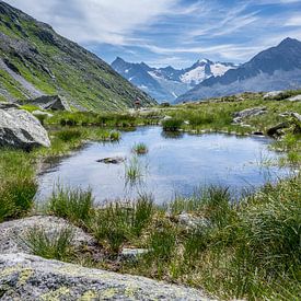 Bergmeertje in het Zillertal (Tirol) met zicht op besneeuwde bergtoppen van Sean Vos