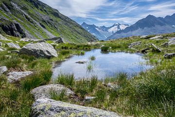 Mountain lake in the Zillertal (Tyrol) with view of snow-capped peaks by Sean Vos
