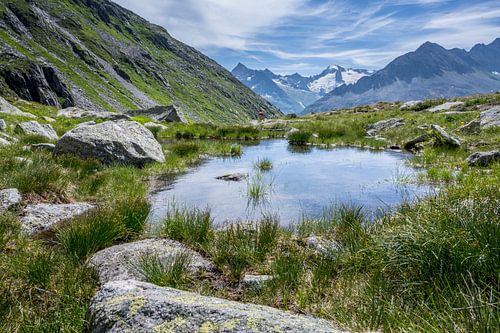Bergmeertje in het Zillertal (Tirol) met zicht op besneeuwde bergtoppen