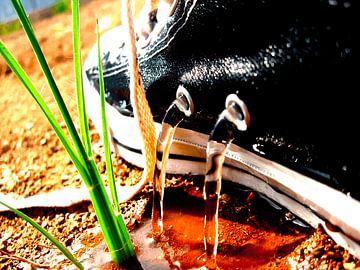 All Stars by Quintin Levens