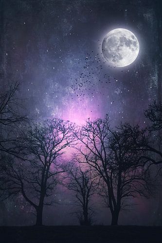 Full moon night in ultraviolet