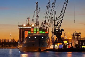 Container schip te haven Rotterdam van Anton de Zeeuw