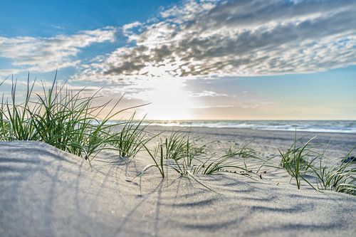 Soleil du soir sur la plage