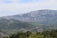 Grüner Canyon