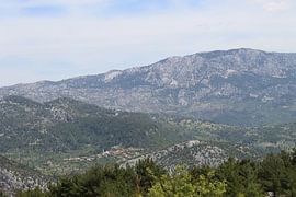 Green Canyon van Aart Lambertus Rietveld