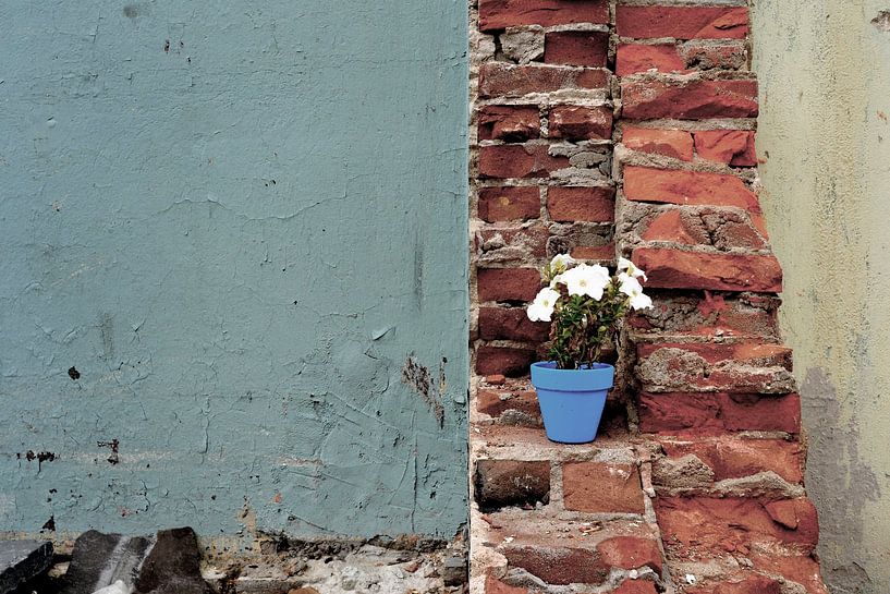Der blaue Blumentopf. von JRobert Photography