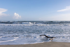 Strand mit Ast von Christina Neuhaus-Petrosino