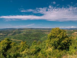 Uitzicht over het platteland in Istrië Kroatië van Animaflora PicsStock