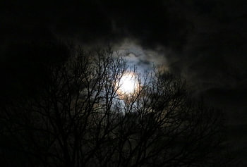 Blue Moon over Germany IV