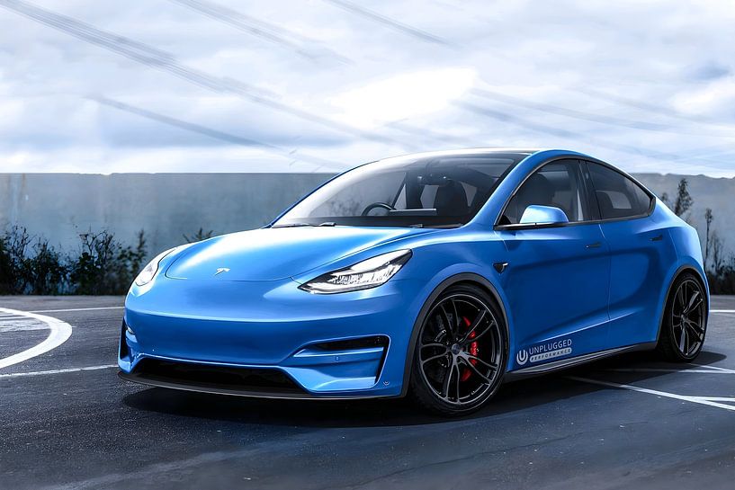 Tesla Model Y van Art Indi
