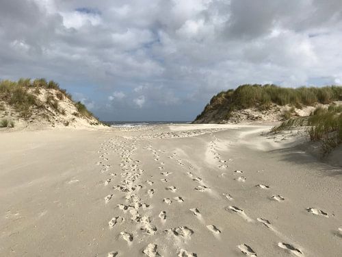 Nach Regen kommt Sonnenschein