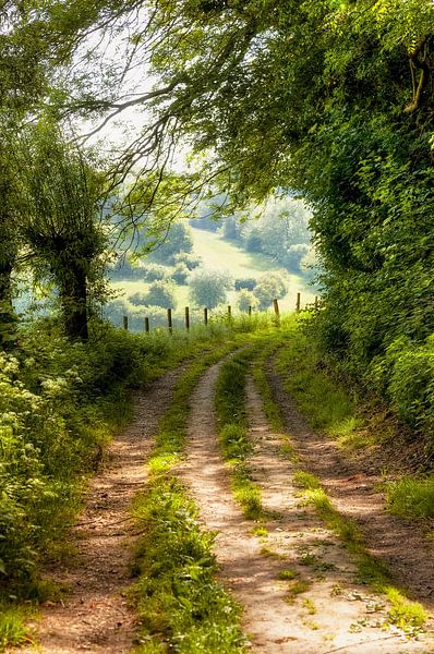 View on a country road through the hills of South Limburg by John Kreukniet