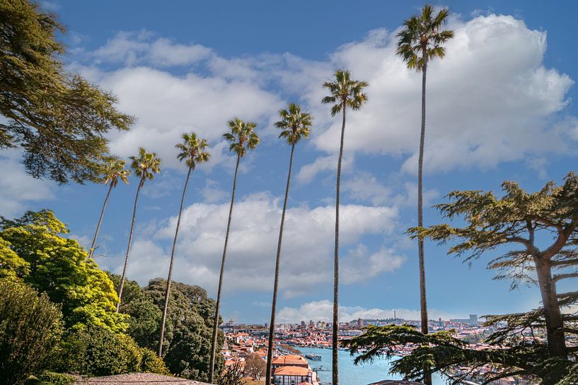 Stunning views over the Doura River Porto (Portugal) by Patrick Löbler