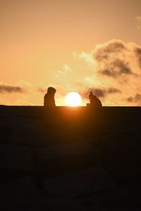 Genieten van de  gouden zonsondergang op de dijk van Frederike Heuvel