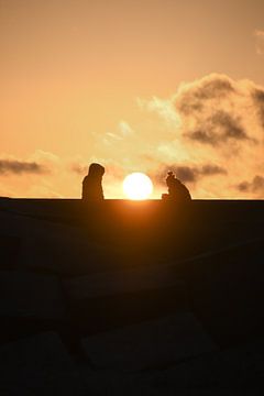 Genieten van de  gouden zonsondergang op de dijk van Frederike Heuvel