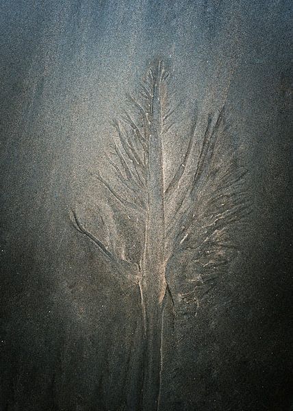 Sand Verzauberung von Greetje van Son
