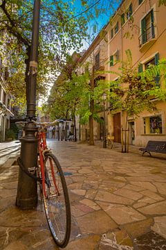 Bicycle on lantern at alley street in the old town of Palma de Majorca by Alex Winter