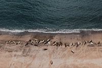 Everyone enjoys a relaxing day at the beach | fun travel photo art print