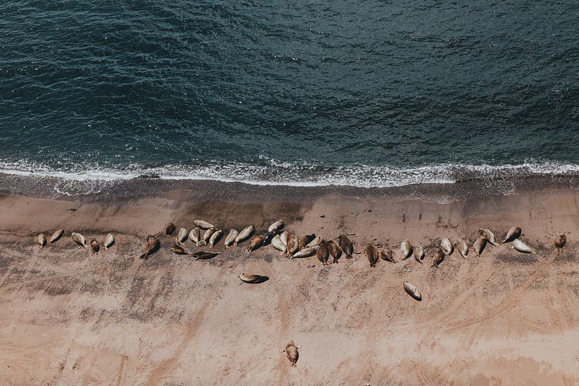 Jeder genießt einen entspannten Tag am Strand von Elise van Gils