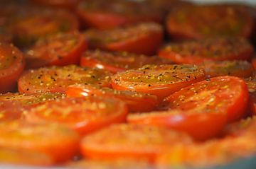 Tomaten van Niek Traas