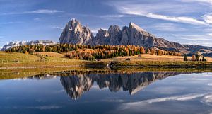 Herbst auf der Seiser Alm in Südtirol von Achim Thomae