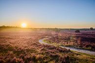 Zonsondergang over een heidelandschap met pad op de Veluwe van Sjoerd van der Wal Fotografie thumbnail