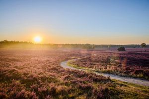 Sunset over a heathlland landscape with a path at the Veluwe