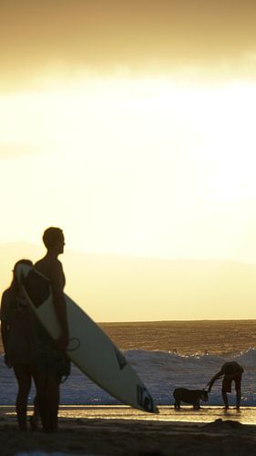 Le surfeur profite de la vue