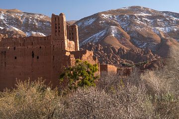 Kasbah in de Dadevallei, Koninkrijk Marokko van Peter Schickert