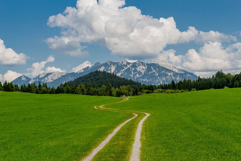 Beautiful lake landscape at the Wagenbruchsee by Oliver Hlavaty