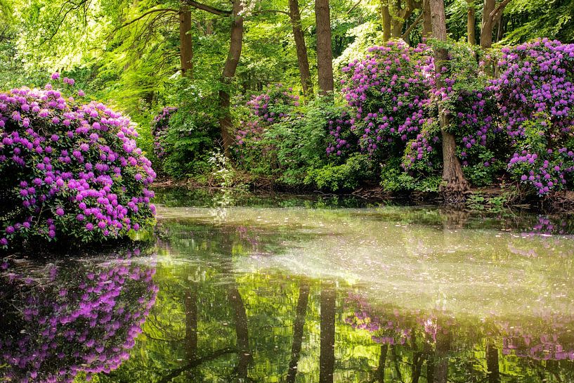 BERLIN Tiergarten - forêt enchantée par Bernd Hoyen