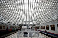 Liege Belgium has a architectural train station unlike any other. von Brian Morgan Miniaturansicht