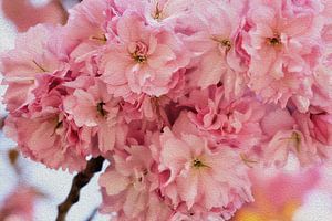 Soft Bloom Harmony Painterly Beauty