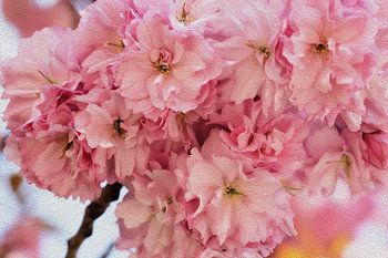Soft Bloom Harmony: Painterly Beauty