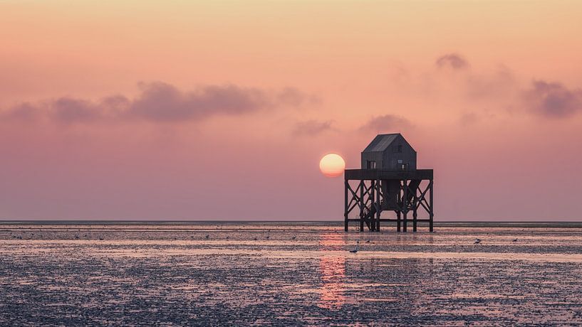 The setting sun at &quot;The Kalkman&quot; on the Engelsmanplaat in the Wadden Sea by Marga Vroom