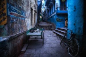 Sleeping dog on handcart in slum of Varanasi. Wout Kok One2expose by Wout Kok