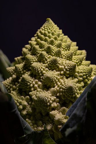 Een Romanesco (fractoli)