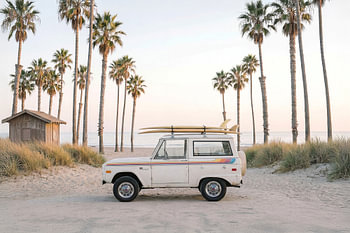 Bronco